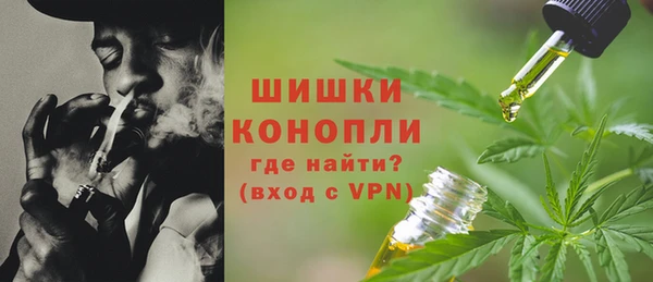 гидра Белоозёрский