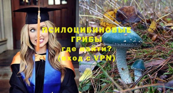 гидра Белоозёрский