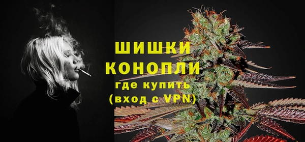 гидра Белоозёрский