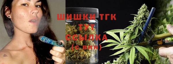 тгк Беломорск