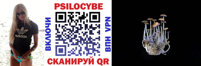 купить наркоту Реж Псилоцибиновые грибы ЛСД