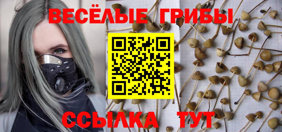 Галлюциногенные грибы GOLDEN TEACHER Реж