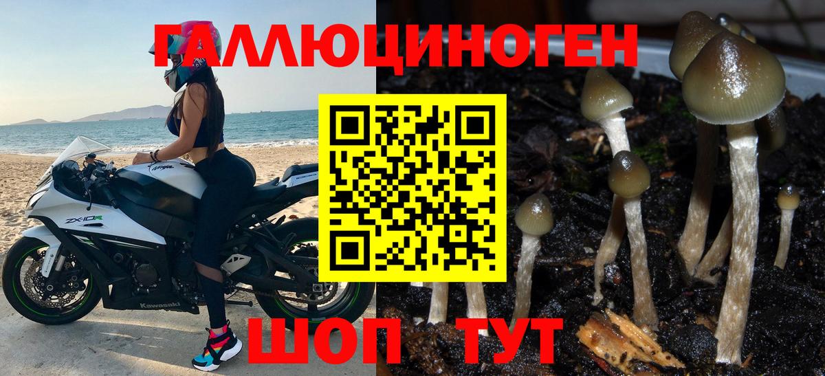 Реж  даркнет сайт  Галлюциногенные грибы прущие грибы  Вход с VPN  Галлюциногенные грибы MAGIC MUSHROOMS 